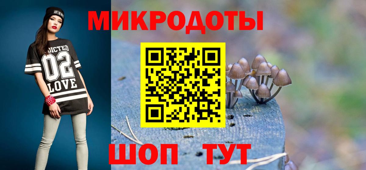 Псилоцибиновые грибы Psilocybe  Вход с VPN  Арсеньев 